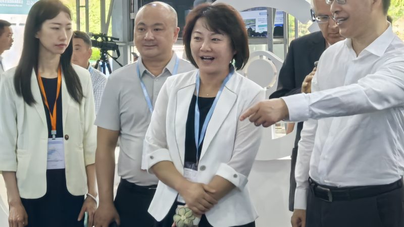 越野轮胎耐磨性：进口与国产轮胎的对比解析**